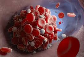 Image result for blood