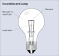 Energy Savers: Incandescent Lighting