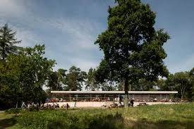 Image result for Aylesbury Dux Basketball Club