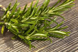 Attēlu rezultāti vaicājumam “Achillea salicifolia leaf”