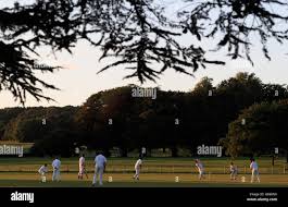 Image result for Lymm Oughtrington Park Cricket Club