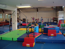 Image result for Sheredes Gymnastics Club