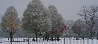 Image result for Moving East (Stoke Newington)
