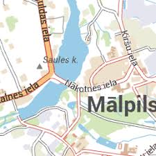 Attēlu rezultāti vaicājumam “Lepus sp.”