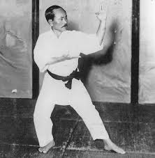 Image result for British Karate Shunen Jutsu