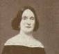 Alice Williamson's Civil War Diary - chesnut