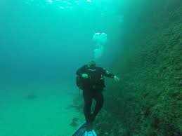 Image result for Halton Sub Aqua Club