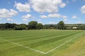 Image result for Reigate Rugby Football Club