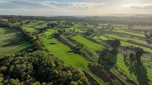 Image result for Walton Heath Golf Club