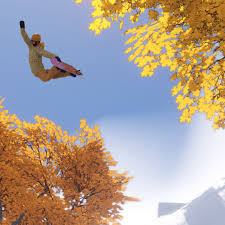 Image result for skiptondivers