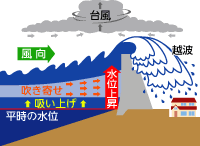 Image result for 高潮 津波 別物