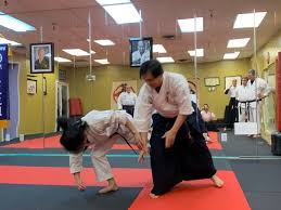 Image result for Ryuko Dojo