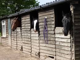 Image result for Palmers Riding Stables
