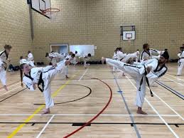 Image result for Fighting Arts Organisation of Great Britain