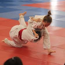 Image result for Skk Judo Club