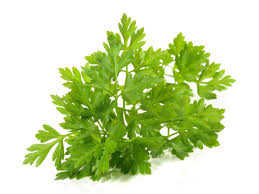 Image result for Kerbel