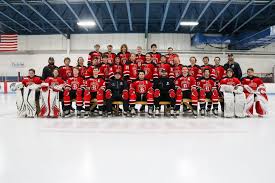 Image result for Bramhall Hockey Club