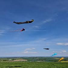 Image result for White Horse Kite Fliers Club