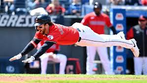 Image result for Schneemann