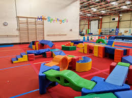 Image result for Mk Springers Gymnastics Club