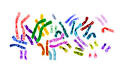 A Brief History of Genetic Testing