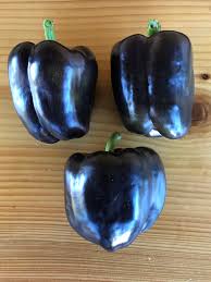 Afbeeldingsresultaat voor purple beauty sweet pepper