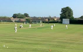 Image result for Thorp Arch & Boston Spa Cricket Club
