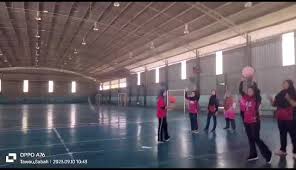 Image result for Falcons Netball Club