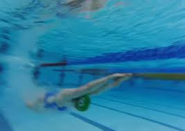 Image result for SwimSwansea
