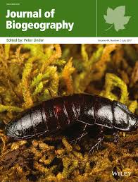 Attēlu rezultāti vaicājumam “Paradiacheopsis rigida spores”