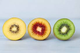 Attēlu rezultāti vaicājumam “Actinidia kolomikta fruit”