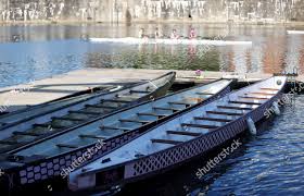 Image result for Amathus Dragon Boat Club