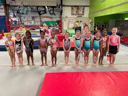 Image result for Spalding & District Gymnastics Club
