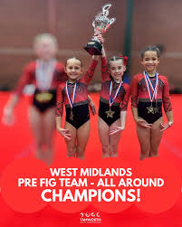 Image result for Tamworth Olympic Gymnastics Club