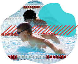 Image result for Abertillery Piranhas Swimming Club