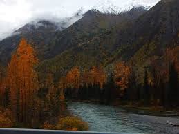 Image result for $$fall_akte__ort$$