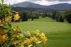 Image result for Stamford (Stalybridge) Golf Club