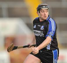 Image result for Sarsfields Hurling Club