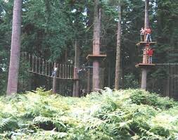 Image result for Go Ape! Thetford