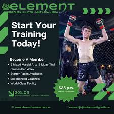 Image result for Full Element Mixed Martial Arts
