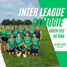 Image result for Green Isle Camogie Club - Players Wanted!