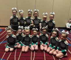 Image result for Platinum Majorettes