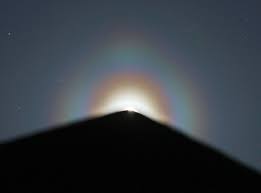 Attēlu rezultāti vaicājumam “pollen corona”