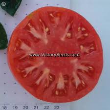 Afbeeldingsresultaat voor caspian pink tomato