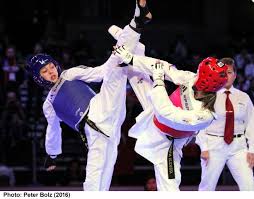 Image result for Park Place Olympic Tkd