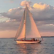 Image result for owl ship