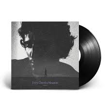 Attēlu rezultāti vaicājumam “Diderma montanum var. album”