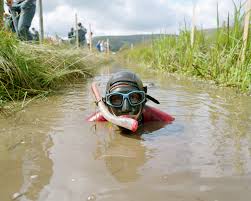 Image result for World Champion Bog Snorkelling Triathlete