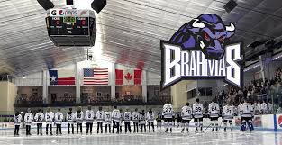 Image result for Bramhall Hockey Club