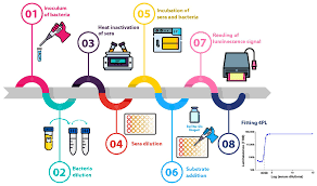 Image result for backmodel terzi